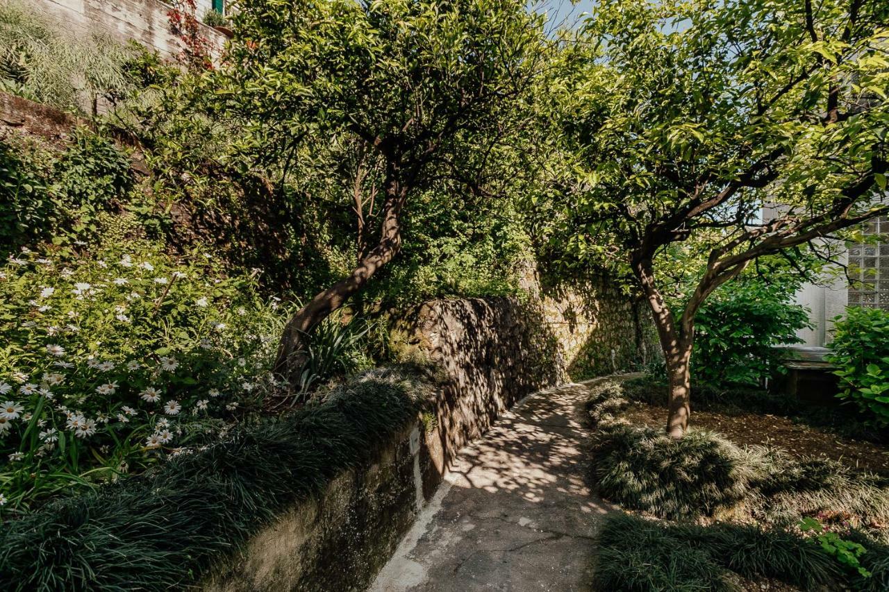 Boka Apartment 4 Χέρτσεγκ Νόβι Εξωτερικό φωτογραφία